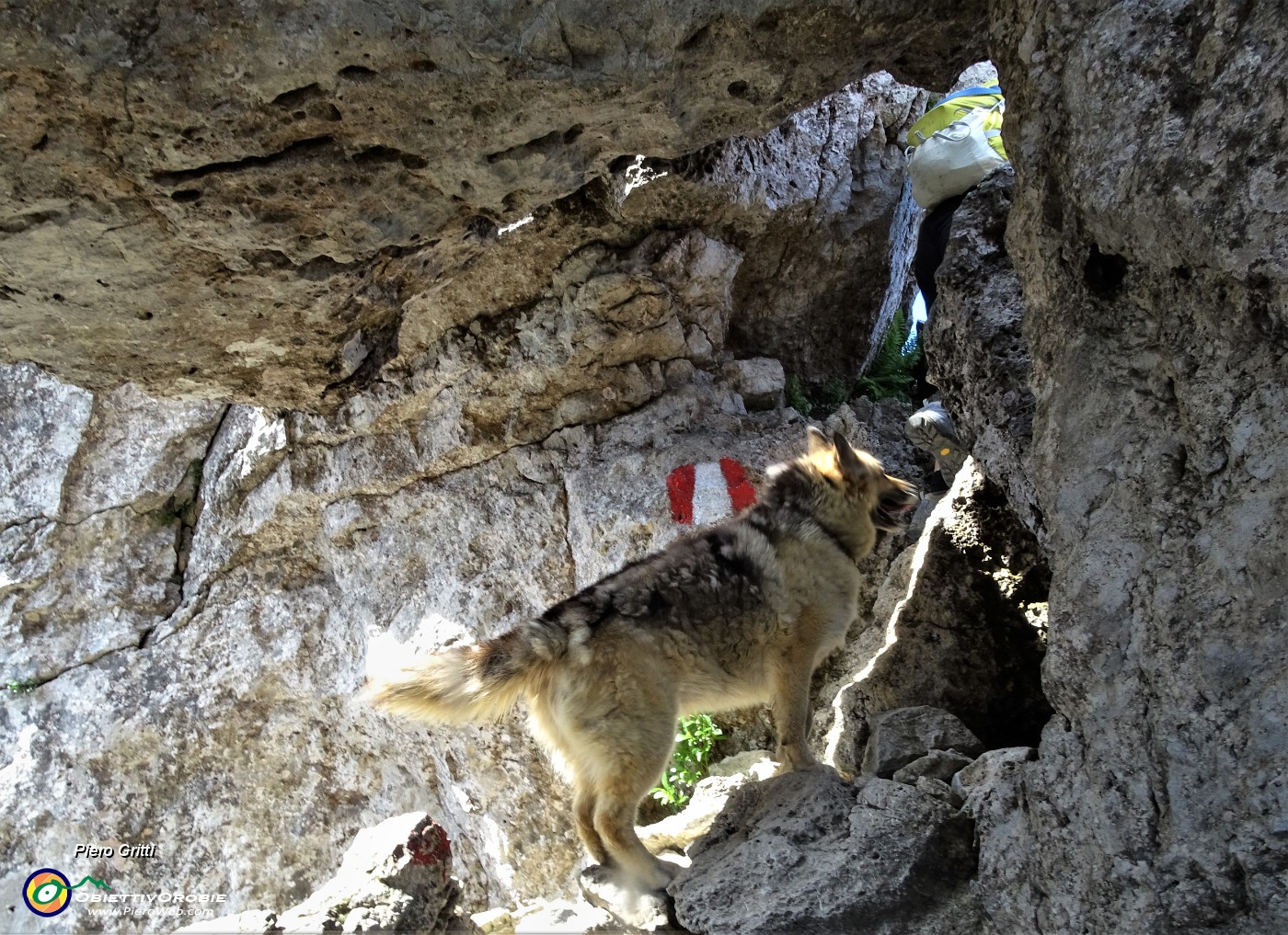 36 Dori ci precede in uscita dalla grotta sotto il masso.JPG